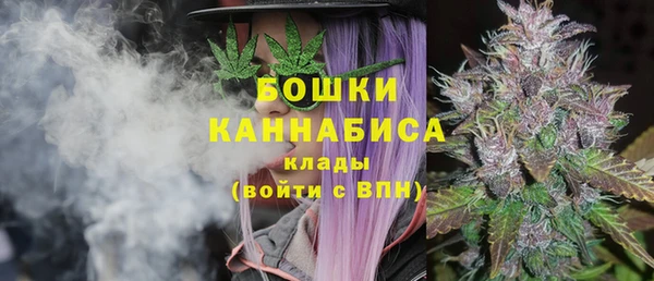сатива Абинск