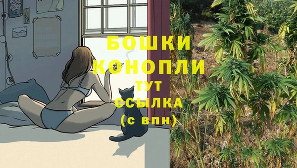 бутират Абаза
