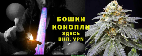 сатива Абинск