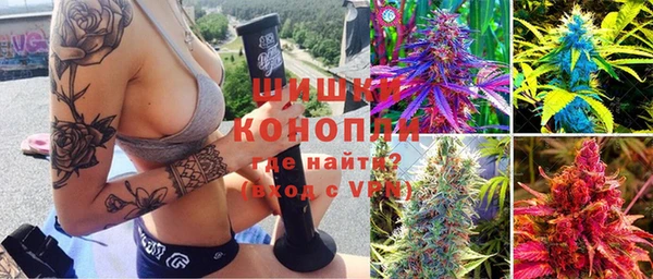 сатива Абинск