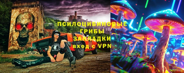 тгк Горно-Алтайск