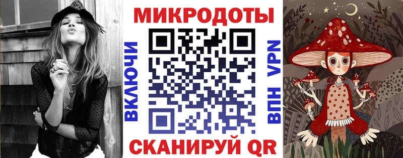 блэк спрут ссылка  Кяхта  Псилоцибиновые грибы Psilocybe 