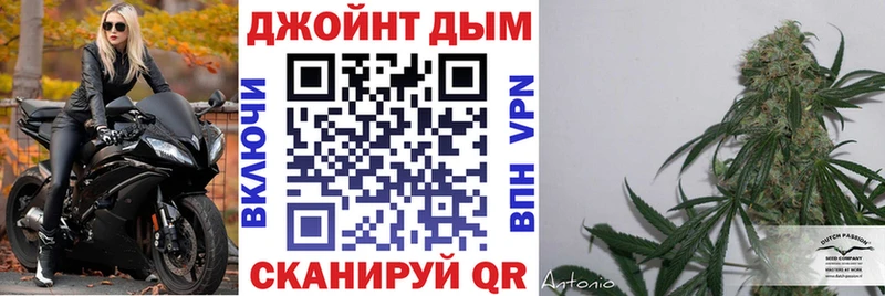 наркотики  Кяхта  Шишки марихуана OG Kush 